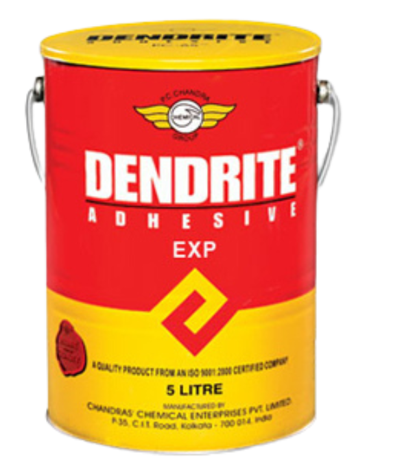 Dendrite EXP