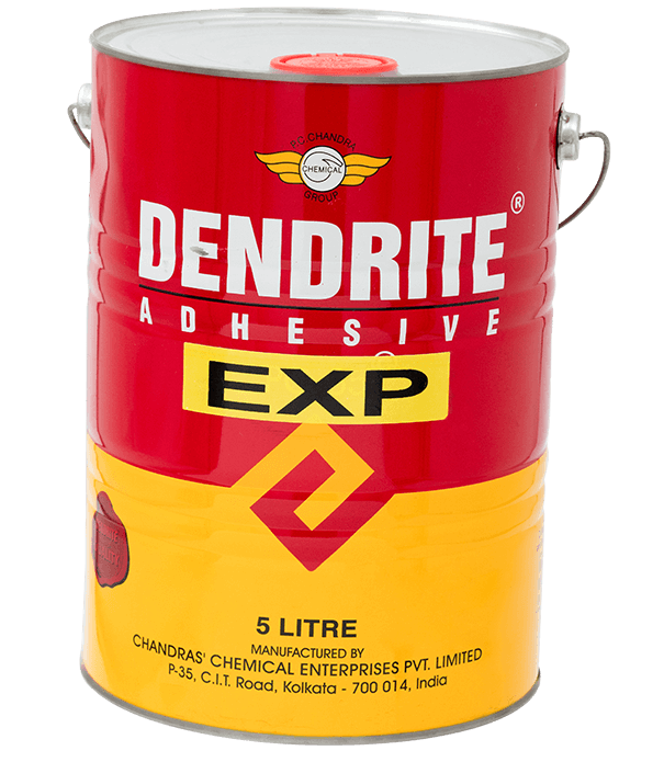 Dendrite EXP